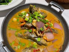 -阿露佳·舌尖上的安吉菜