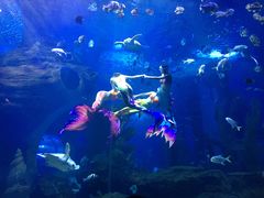 -多彩贵州城极地海洋世界