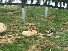 -西安秦岭野生动物园