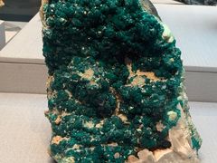 -湖南省地质博物馆