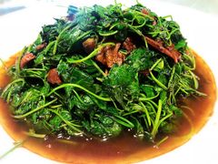 金花菜蚌肉-金典银峰老鹅馆·昆山菜(亭林公园店)