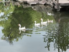 -台州府城(东湖)