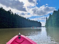 -上海海湾国家森林公园