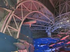 -烟台海昌鲸鲨海洋公园