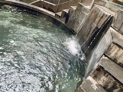-嘉佑温泉水世界