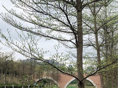 -松山湖南湖湾露营营地