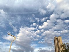 -木塔寺遗址生态公园