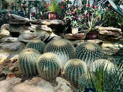 -国家植物园南园