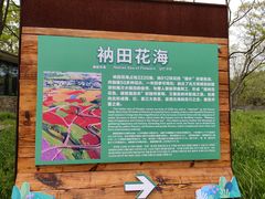 -江苏三台山国家森林公园