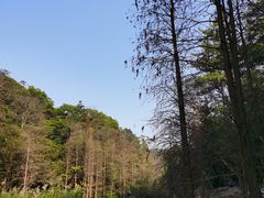 -云溪植物园