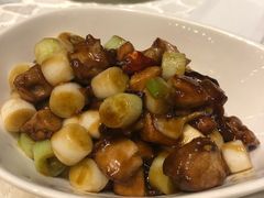 -成都保利公园皇冠假日酒店(熊猫基地店)