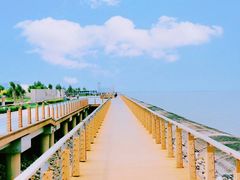 -东疆建设开发纪念公园