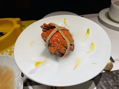 -觀芷隐轩