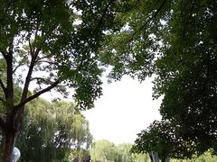 -郑州植物园