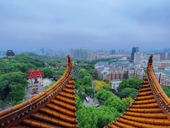 -黄鹤楼公园(黄鹤楼)