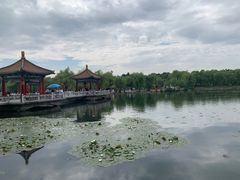 -长春市南湖公园