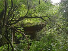 -西岭雪山大飞水景区