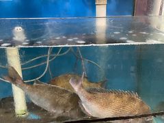 -老大连路特色烧烤(基隆路店)