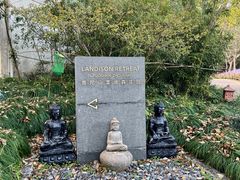 -普陀山雷迪森庄园