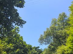 -黄公望隐居地