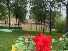 -北京大葆台遗址博物馆