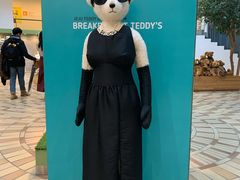 -济州岛泰迪熊博物馆