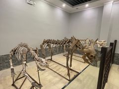 -游龙石文化科普馆