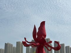 -曹州牡丹园