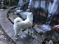-蝴蝶泉公园