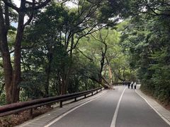 -梧桐山风景名胜区