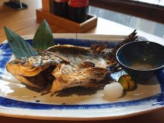 鲷鱼半烤-綱元·海鲜豆捞(明州里店)