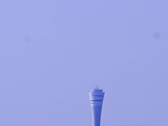 -上海滨江森林公园
