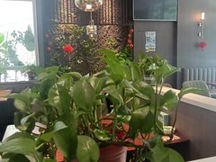 -纪林菜馆·博山菜老字号(华光路店)