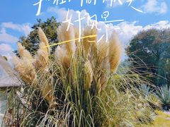 -昆明市金殿名胜区