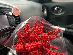 -王尔德与花