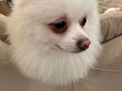 -怪兽屋·羊驼·猫咖·狗咖(俊华广场店)