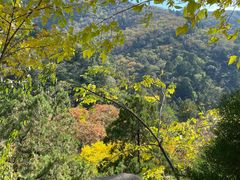 -北京上方山国家森林公园