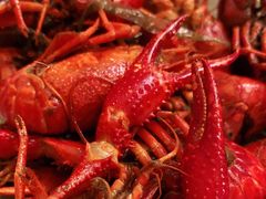 -杭州钱江新城万怡酒店-西餐厅