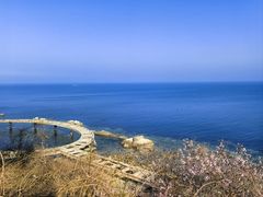-养马岛旅游度假区