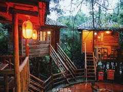 -天门沟九州驿站树上汤泉