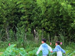 -池杉湖湿地公园