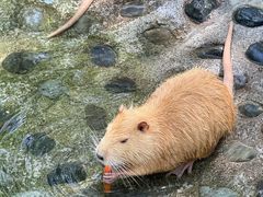 -水上乐园·欢乐世界