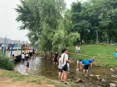 -长白岛森林公园