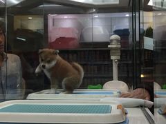 -乐宠宠物店(世纪金源店)