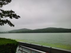 -水上明月·湖景餐厅