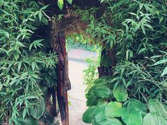 -斯多格书乡(北京大学畅春园店)