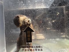 -波塞冬海底世界