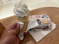 -麦当劳(金平路站店)