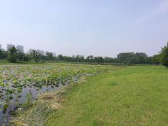 -鉴湖国家城市湿地公园