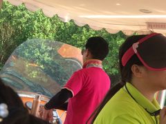 -大湾区中央湿地公园